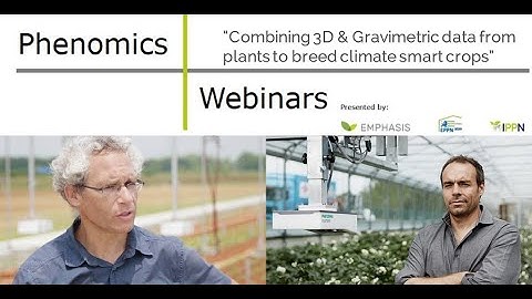 Dr. Hummel & Dr. Vadez: Combining 3D & Gravimetric data from plants to breed climate smart crops