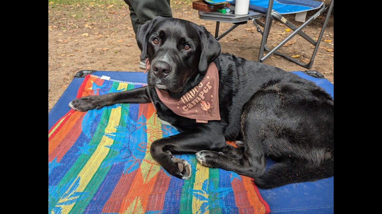 Rainy Days at Pancake Bay