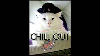 Chill Out with B.A.B.E. Cat