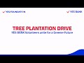 Planting Seeds of a Greener Future: YES Foundation's Tree Plantation Drive