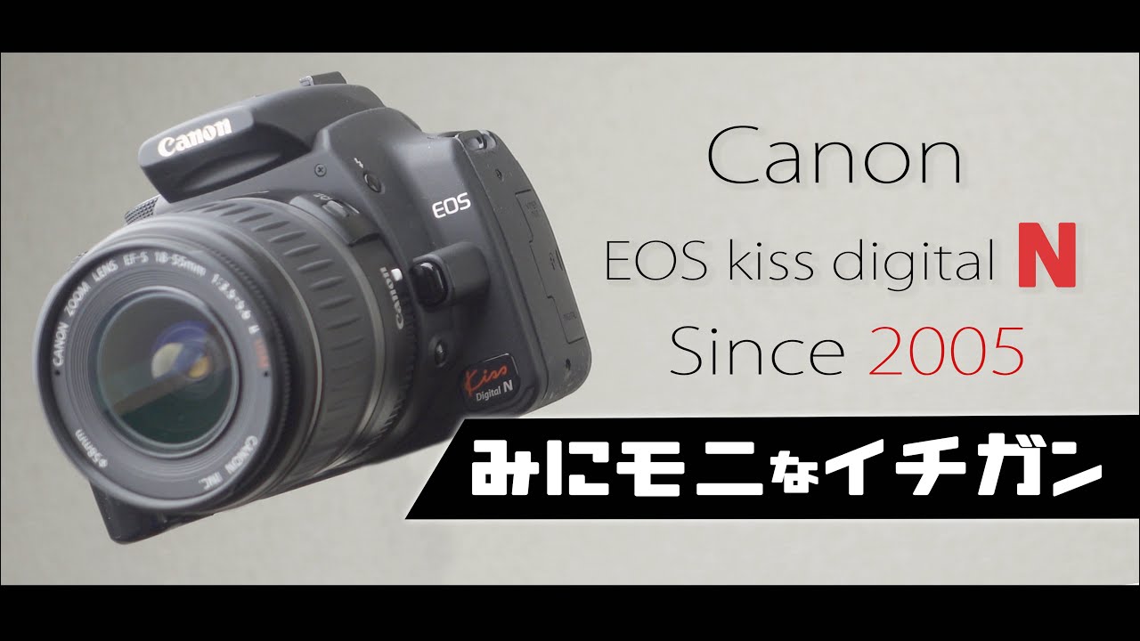人気ブランドの新作 Canon キャノン EOS kiss N