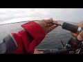 Pche dun bar de 2 100 kilos piriac sur mer 44 juin 2017