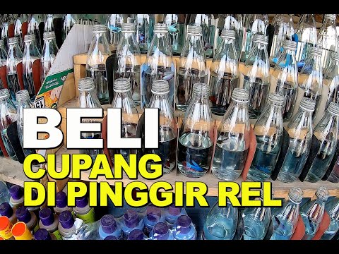 BELI IKAN CUPANG DI PINGGIR REL CIKARANG