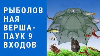 Рыболовная верша-паук 9 входов - рыболовная верша паук 9 входов купить.