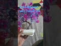 Flower pot from meesho #rivew #notsponsored  145 rs