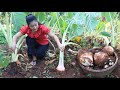 Countryside Life TV: Mommy and son prepare table together / Harvest taro from backyard for cooking