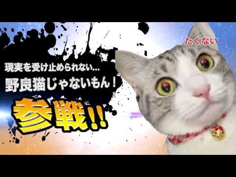 ヤバ過ぎネッコ全員参戦！！part76