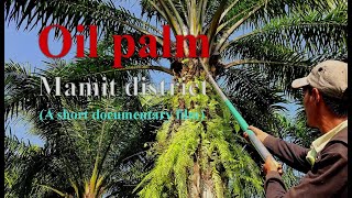 Documentary of Palm-oil cultivation in Mamit district, Mizoram (with Sub title)