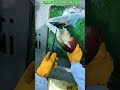 Giant Squid Processing Onboard – Ultra Fresh Seafood Preparation in Action!