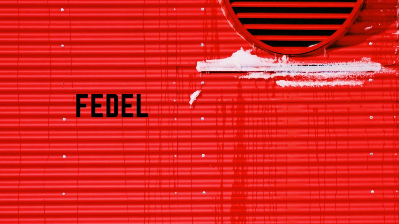 FEDEL - Maybe never