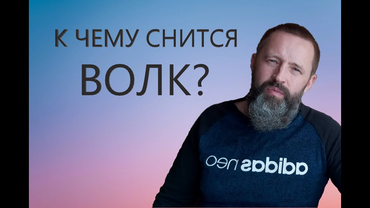 ВОЛК. К чему снится Волк.