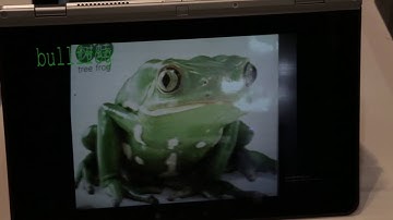 Intel Demonstration of Deep Learning-based, GPU-Accelerated Object Recognition