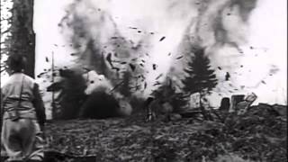 Stump Blasting - Burnaby