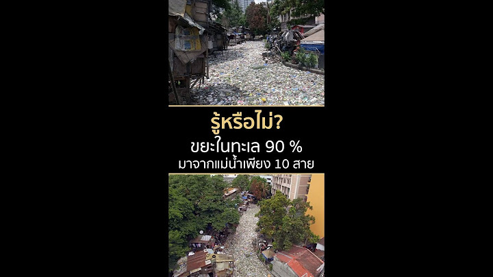 รู้หรือไม่? ขยะในทะเล 90 เปอร์เซ็นต์ มาจากแม่น้ำเพียง 10 สายเท่านั้น | Springnews