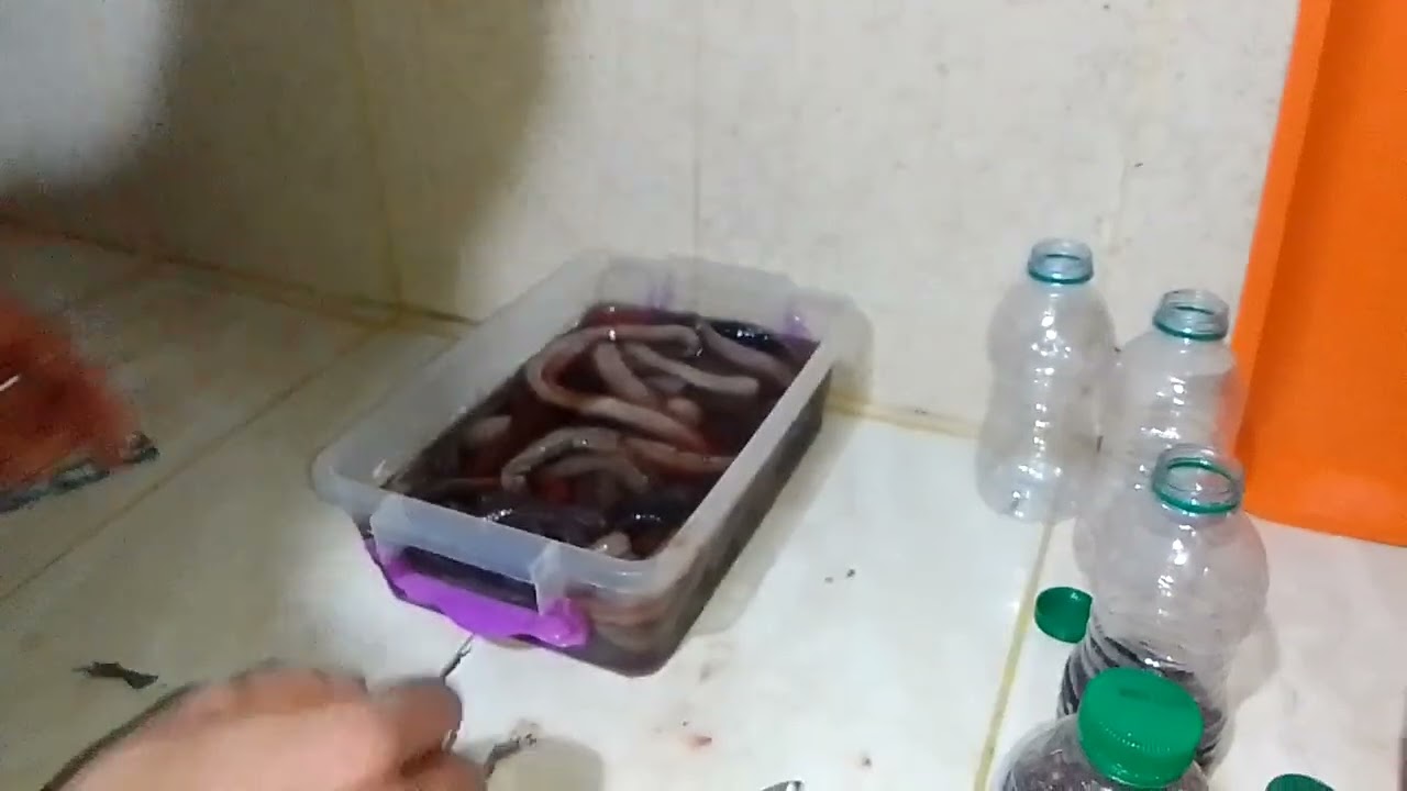 طريقة تحضير طعم #بوبيط