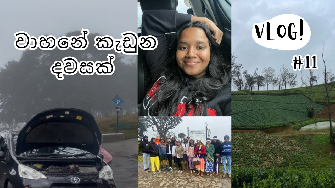 නුවරඑළියේ යන්න ගිහින් මග ඉන්න වුනා | Horton plains | Travel Vlog | Sasi Seeks