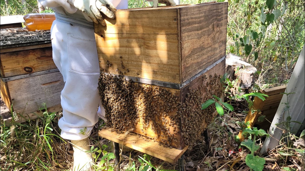 método DEMARRÊ / TROCA DE FAVOS