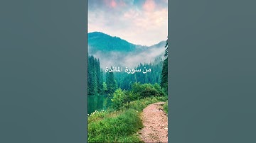 تلاوة رائعة من سورة المائدة #المصحف