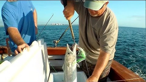 Saltwater Fishing with Planers