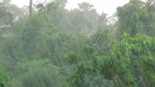 A Beautiful Rain Scene With Natural Rain Fall Sounds @Shortsofnature.124 by Shorts of nature  10 views 1 year ago 1 minute, 41 seconds