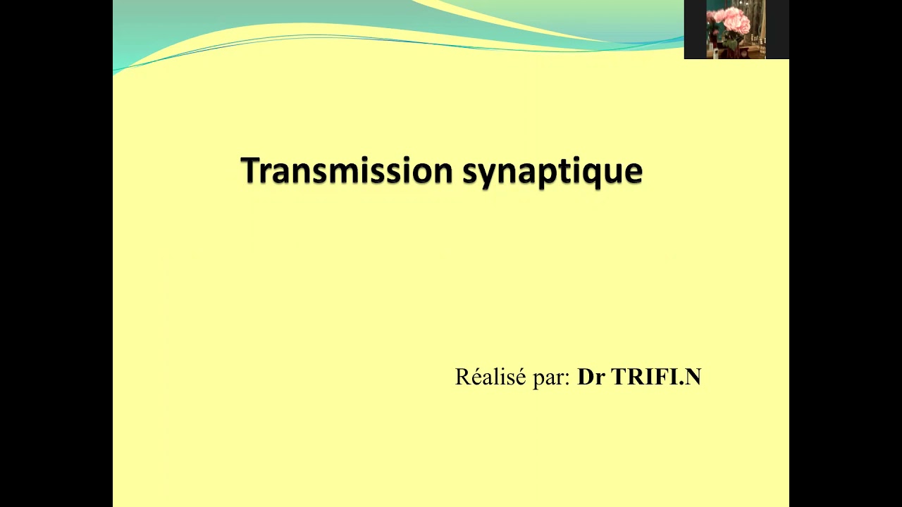 cours phisiologie transmission synaptique