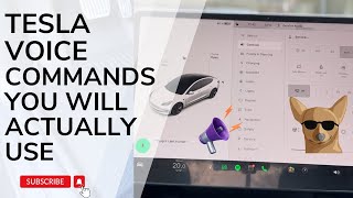 Tesla Voice commands You Need to Know