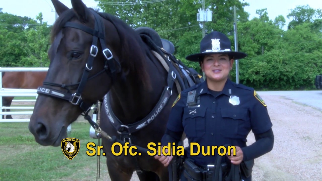 Meet Mounted Patrol Houston Police YouTube