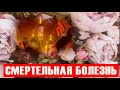 Поздно вечером! Гениального актера  не стало — Юра скончался!