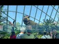 A Day trip to Singapour (the city of lights)