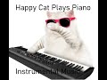 Happy Cat Plays Piano | Instrumental Music