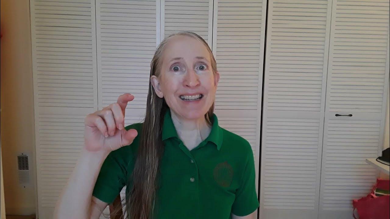 ERAP Basics New York State Emergency Rental Assistance Program YouTube