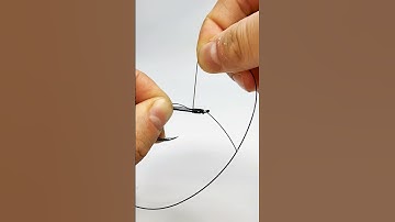 Egg Loop Knot Tutorial  #fishing #fishingknot #fisherman