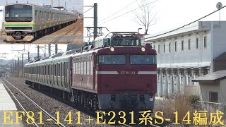 配9831 EF81-141+E231系S-14編成AM入場配給(上飯島駅)