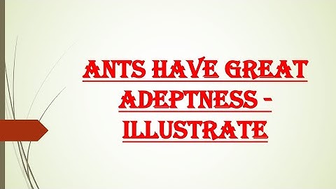 English || Short Note || Ants Have Great Adeptness - Illustrate ||