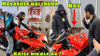 Hayabusa mai Chuha ghus gaya 🐀 sahi time par Shop se transfer kardi Bike 😣 ab kya karenge ?