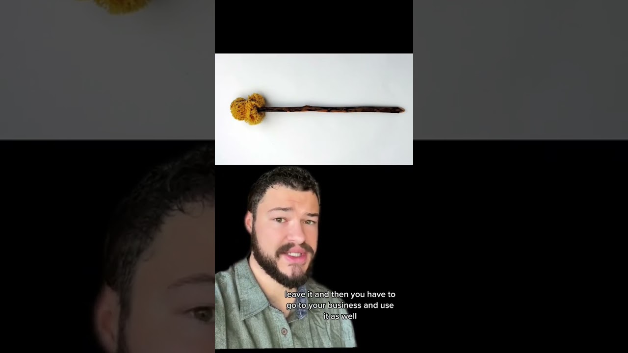 What People Used Before Toilet Paper 