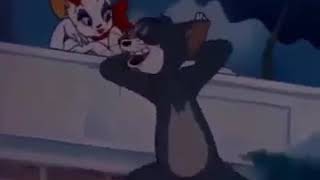 Tom And Jerry Prikol Dollar