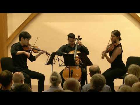 Ysaÿe: Trio à cordes "Le chimay," Op. posth.