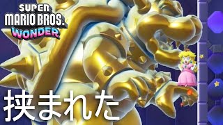 【マリオワンダー】挟まれた【スーパーマリオブラザーズ ワンダー #19】