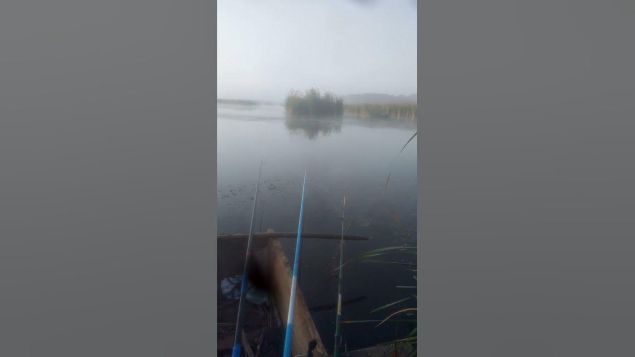 РАНКОВИЙ ТУМАН - YouTube