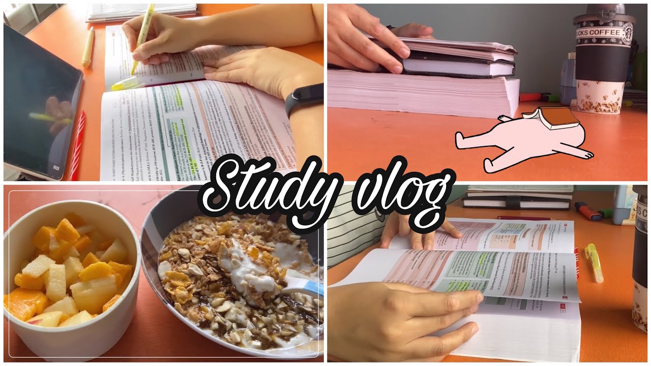 A short study session | study log 📖 |exam preparation