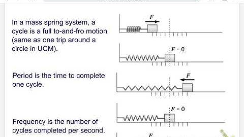 Spring-Mass Lecture (video 3)