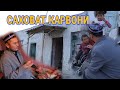 САХОВАТ КАРВОНИ