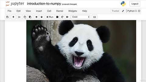 Turn Images Into NumPy Arrays