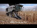 Gleaner Corn Harvest in Manitoba 2020