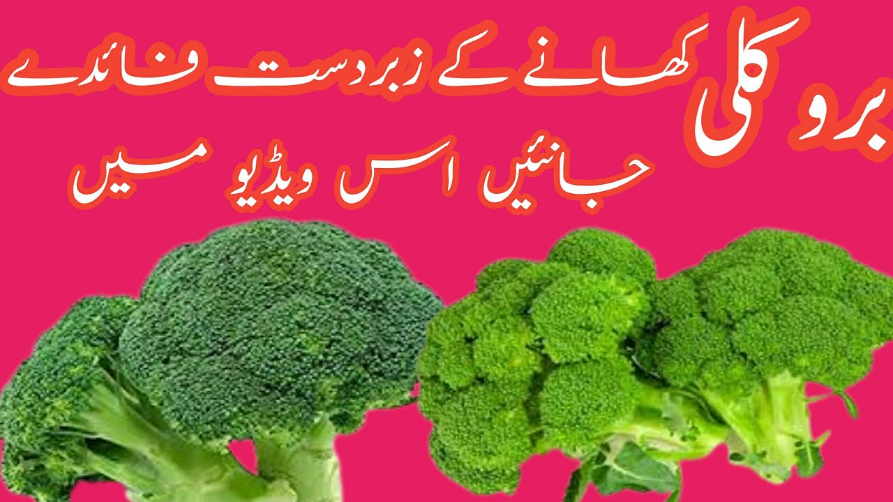 broccoli ke fayde benefits of broccoli Villy Information YouTube