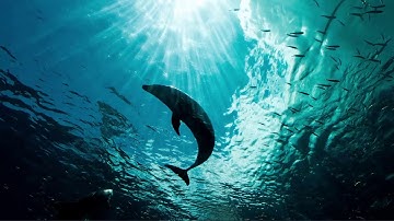 이것이 오라클이다 - 03장 1교시 : [Oracle] 전체 운영 실습 개요, 스키마 생성