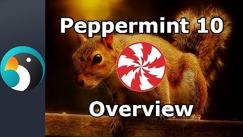 Peppermint 10 Overview