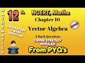 PYQ Series | Class 12 Vector Algebra | Important 3 Marks PYQs | Chapter 10 | Section C