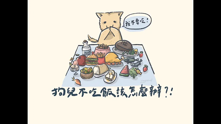 狗兒為什麼不吃飯? 狗狗挑食到底該怎麼辦? |狗兒的十萬個為什麼 EP4|狗狗挑食 - 天天要聞